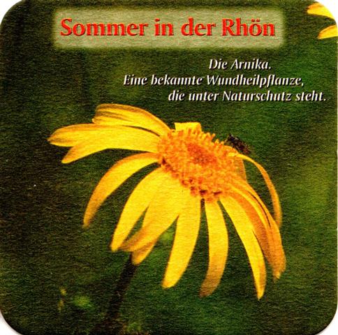 hausen nes-by rother jahres 1b (quad180-sommer in der rhn)